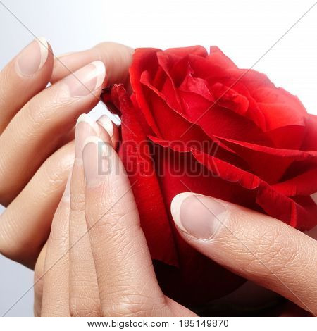 Beautiful female arms with ideal french manicure on black background. Care about female hands healthy soft skin. Spa and cosmetics. Beauty care. Close-up of beautiful famele fingers with nails polish