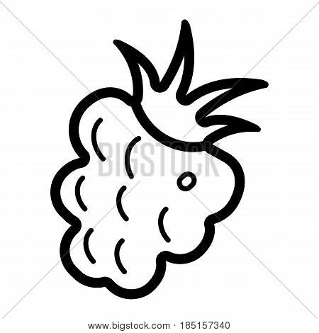 Raspberry blackberry icon. Raspberry blackberry Vector isolated on white background. Line design. EPS 10