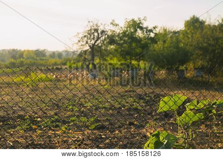 Wire fence large mesh sees green grass background in rural village