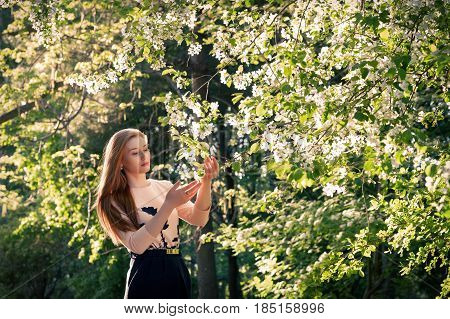 A girl in the garden, holding a branch with apple blossoms in her hands. In the apple orchard. Spring abstract, apple blossom