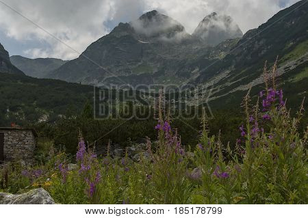 Mountain overgrown with coniferous forest, glade and rest-house toward Maliovitza peak in Rila 

mountain, Bulgaria