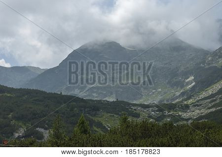 Mountain overgrown with coniferous forest and glade toward Maliovitza peak in Rila mountain, 

Bulgaria