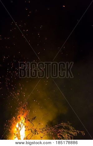 bonfire summer night flames with sparks on a black background