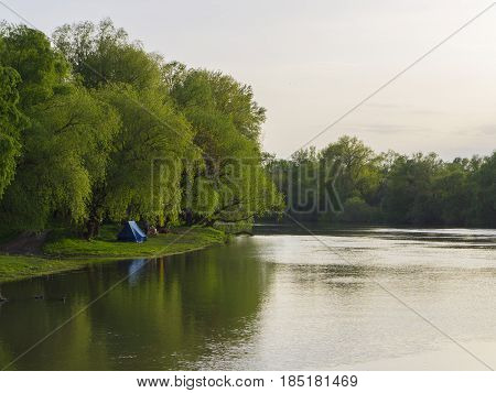 Forest river may afternoon. Spring landscape on the river in the National Park