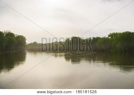Forest river may afternoon. Spring landscape on the river in the National Park