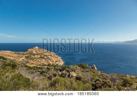 Revellata Lighthouse Near Calvi In Corsica