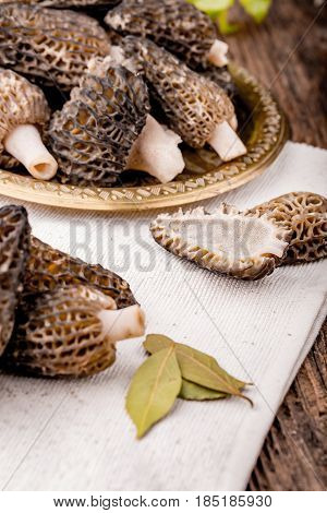 Fresh Morchella Conica, Seasonal Mushrooms.