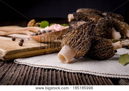 Fresh Morchella Conica, Seasonal Mushrooms