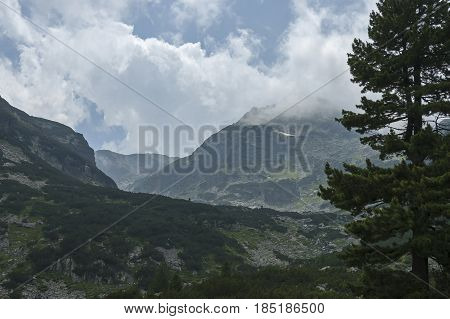 Mountain overgrown with coniferous forest and glade toward Maliovitza peak in Rila mountain, 

Bulgaria