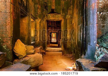 Ta Prohm  temple Angkor Wat in Cambodia.