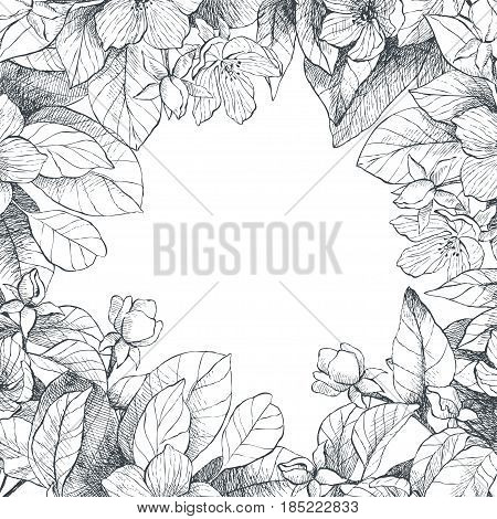 Vector floral backdrop. Blooming garden trees. Botanical Illustration engraving style