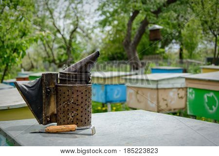 Old bee smoker. Beekeeping tool. Apiary Beekeeping