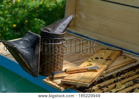 Old bee smoker. Beekeeping tool. Apiary Beekeeping