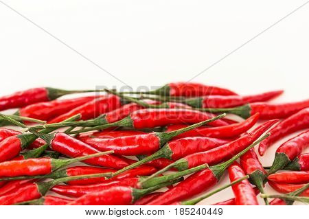 red hot chili peppers, popular spices concept - isolated handful of fresh red hot chili peppers, pods scattered on white background, free space for your text