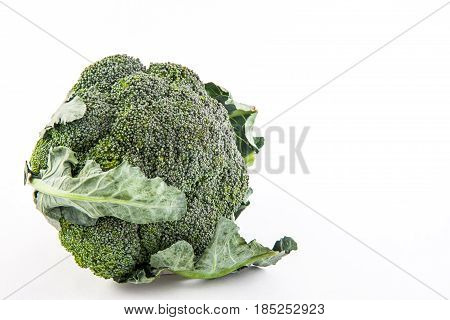 Broccoli (Brassica oleracea) isolated in white background