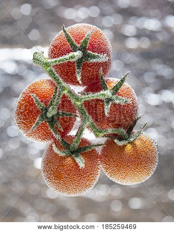 Tomatoes top view on a branch isolated on a silver background with air bubbles