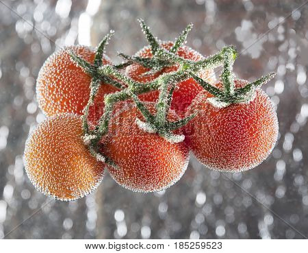 Five tomatoes on a branch are covered with air bubbles isolated on a silver background