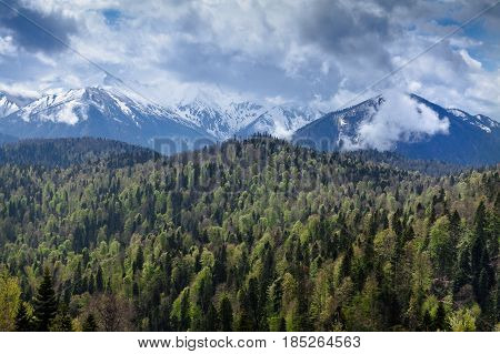 Sun shining through the clouds with silhouetted mountians. Beautiful view on Caucasus Mountains, Storm clouds and green summer forest.