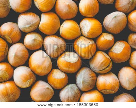 Hazelnut Fruit, Faded Vintage Look