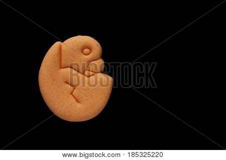 Dog biscuit on black background to connote a concept of feeding animals