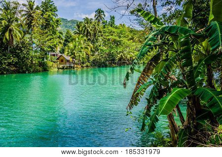 Jungle green river Loboc at Bohol island of Philippines. Bamboo hut under palm trees, Bohol, Philippines.