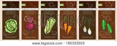 Sketch vegetable banners set. Natural vegetables seeds in packets hand drawn vector. Vegetable seeds packets template. Eco vintage foods