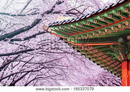 Gyeongbokgung Palace With Cherry Blossom In Spring,korea.