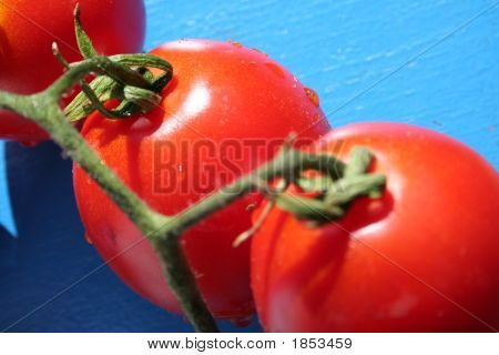 Tomatoe3