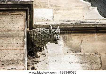Notre Dame. Monster (Gargouille) on the church