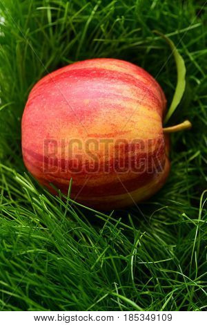 Fallen Fresh Red Apple In The Grass