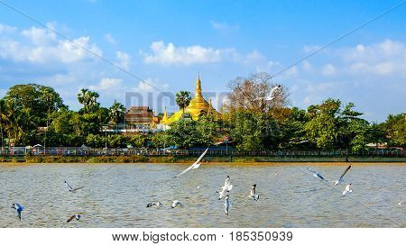 The gloden shwedagon pagoda Yangon in Myanmar.