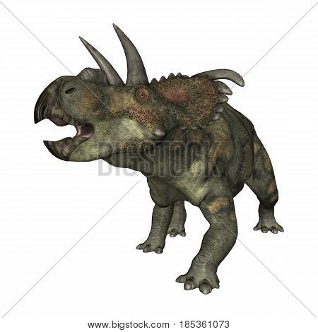 3D Rendering Dinosaur Albertaceratops On White