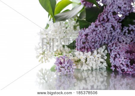 Bouquet Of Lilac