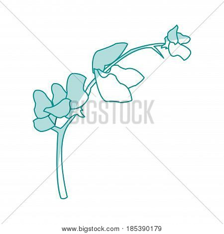 blue silhouette image flower exotic orchid branch vector illustration