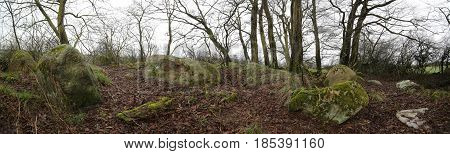 Panorama Of Remains Of Megalithic Tomb Neu Negentin In Mecklenburg-vorpommern, Germany