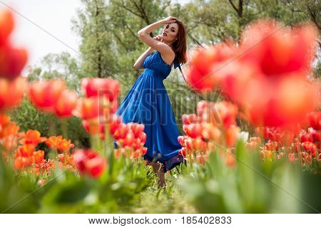Dreammy romantic woman in outdoor photo in sunny summer day. Beautiful girl in springtime