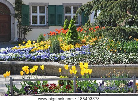 multi colored  flowers house with shutters in the background