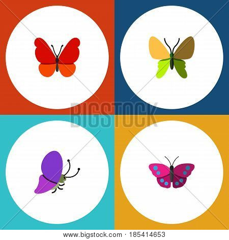 Flat Moth Set Of Summer Insect, Beauty Fly, Monarch And Other Vector Objects. Also Includes Archippus, Milkweed, Butterfly Elements.
