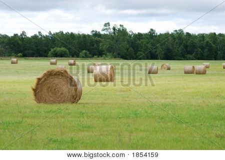 Pyöröpaaleja 