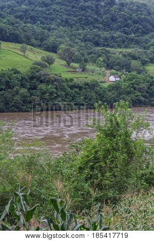 Taquari River, Farm And Forest
