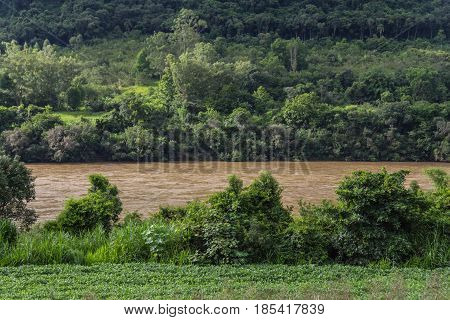 Taquari River And Forest