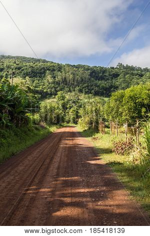 Dirt Road In Countryside