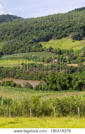 Rural Village And Farm