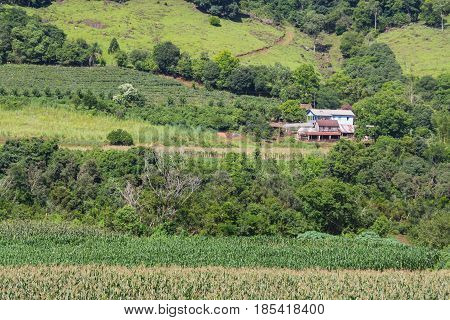 Farm , House And Plantation