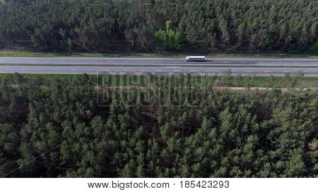 Coniferous forest and road view from above