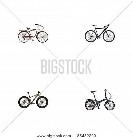 Realistic Folding Sport-Cycle, Journey Bike, Bmx And Other Vector Elements. Set Of Lifestyle Realistic Symbols Also Includes Bmx, Cyclocross, Folding Objects.