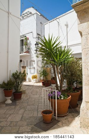 Characteristic alleyway of Locorotondo. Puglia. Southern Italy.