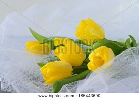 Yellow tulips on a white airy cloth texture