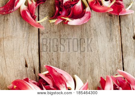 Sesbania flower Put on wooden floor for use concept on empty space.