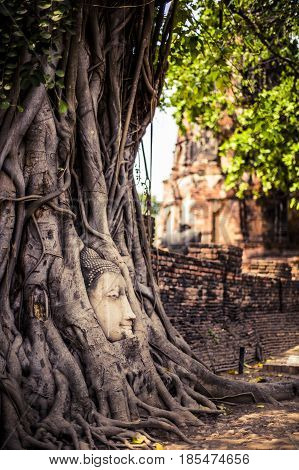 Buddha head in ancient tree roots at Ayutthaya Historical Park Thailand